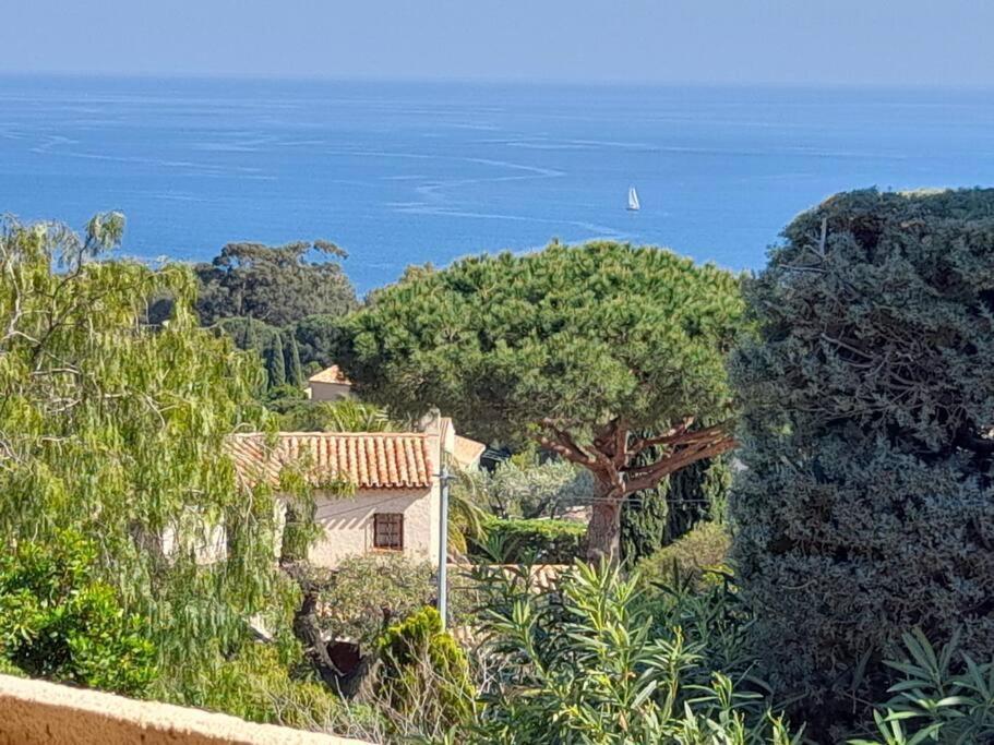 4-Star Private Villa With Heated Pool And Panoramic Sea View At Gulf De Saint Tropez Cavalaire-sur-Mer Buitenkant foto